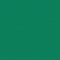 Спортивное покрытие Tarkett Omnisports Action 40 Field Green