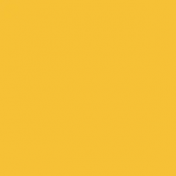 Спортивное покрытие Tarkett Omnisports Action 65 Yellow