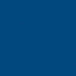 Спортивное покрытие Tarkett Omnisports Action 65 Royal Blue