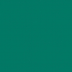 Спортивное покрытие Tarkett Omnisports Action 65 Forest Green
