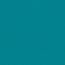 Спортивное покрытие Tarkett Omnisports Action 65 Teal