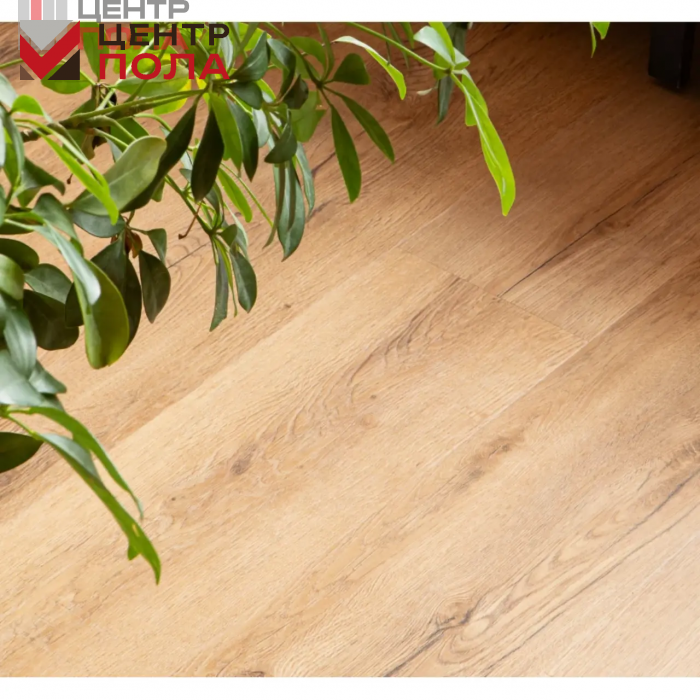 Кварцвинил Vinilam Cork Premium 33808 Дуб Витория